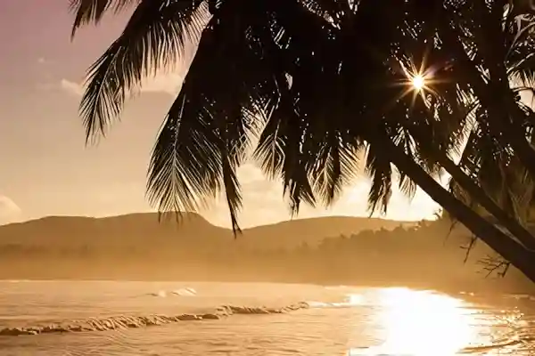 Imagen de Habanera A la orilla de un palmar letra