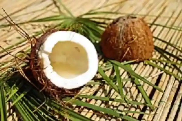 Imagen de A mi no me gusta el coco letra
