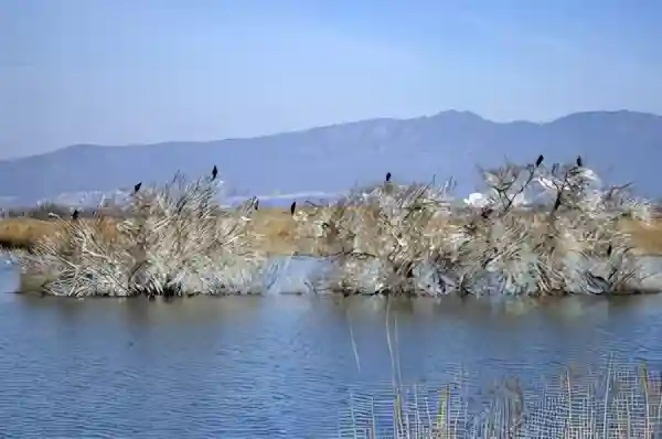 Imatge de Busca´m a l´Empordà lletra