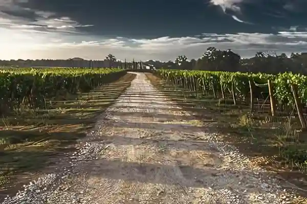 Imagen de Bolero Distancia letra