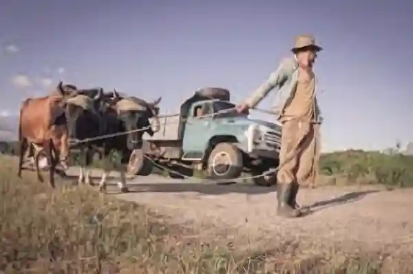 Imagen de un campesino para el post Guajira El carretero letra