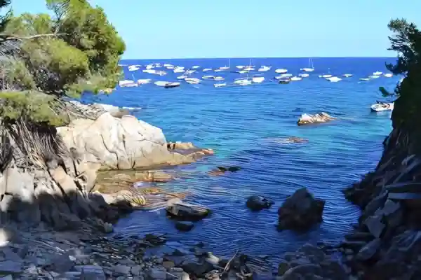Imatge de Havanera El meu mar lletra