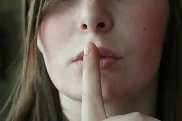 Imatge de El meu secret lletra