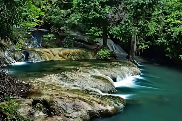 Imagen de En un bosque de Las Indias letra