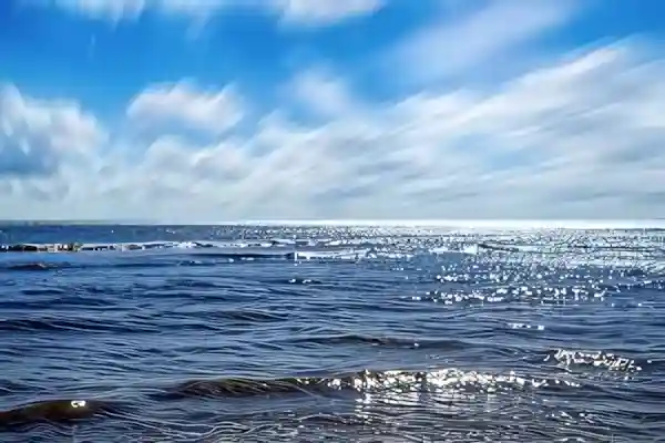 Imatge de Et dono la mar lletra