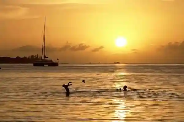 Imagen de Salió de Jamaica acordes