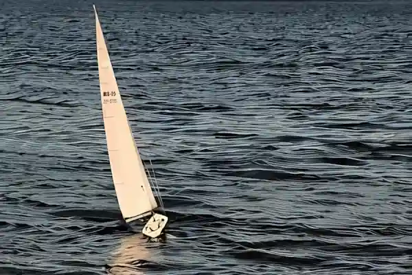 Imatge de La barca xica acords
