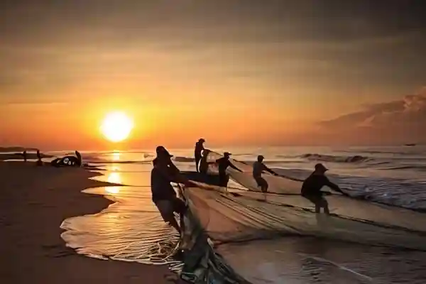 Imatge de Mare vull ser pescador acords