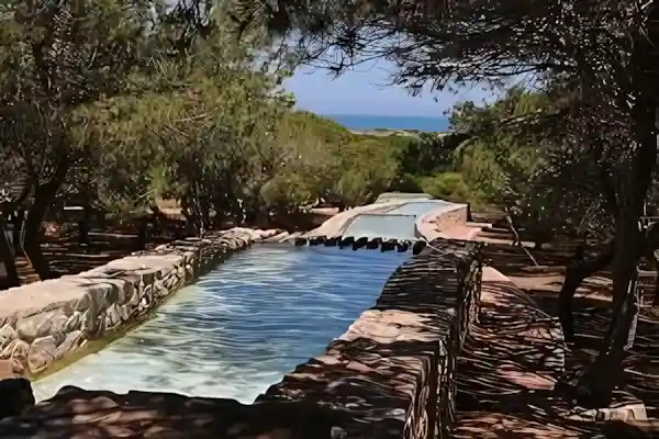 Imagen de Torrevieja acordes