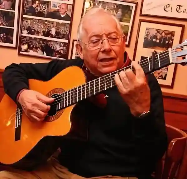 Imatge de L'home de la guitarra acords