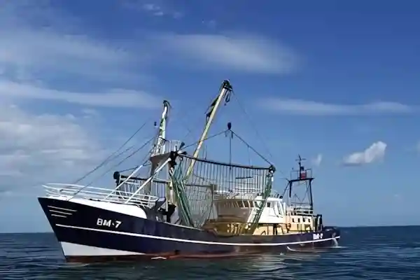 Imatge de La Rosa del Port lletra