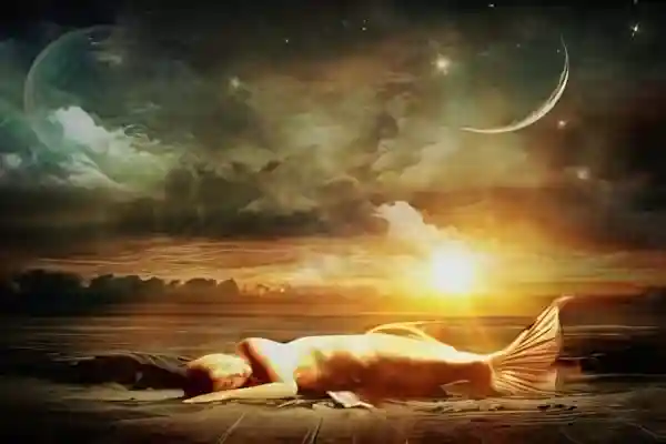 Imatge de La sirena i la lluna lletra