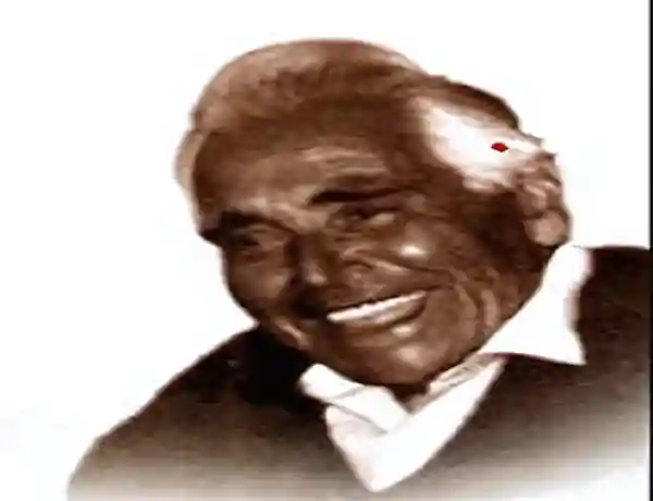 Imatge dels acords de L'Avi Mèliu