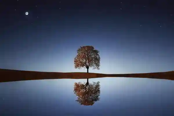 Imagen de Lucero de la mañana letra