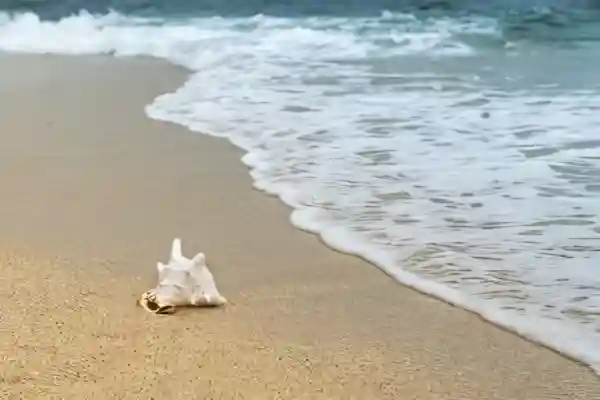 Imatge de Onades d'amor lletra