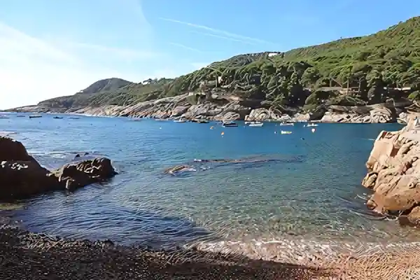 Imatge de Havanera Tamariu lletra
