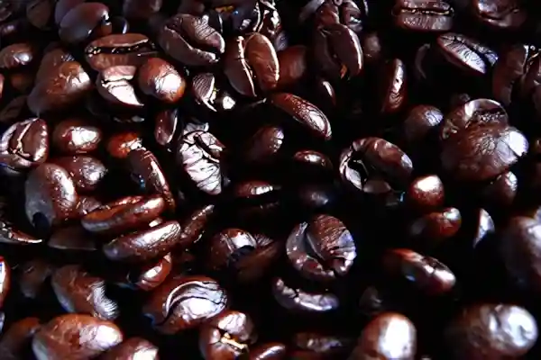 Imagen de café en grano, amargo, para el post Bolero Verdad amarga letra
