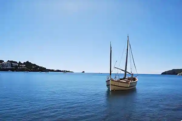Imatge de Havanera Vola barca meva lletra