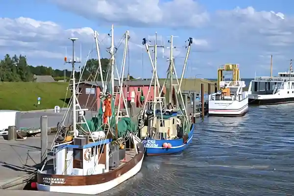 Imatge de Havanera Vull ser el teu port